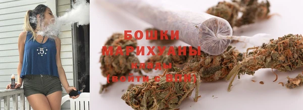 ПСИЛОЦИБИНОВЫЕ ГРИБЫ Арсеньев