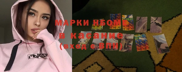 ПСИЛОЦИБИНОВЫЕ ГРИБЫ Арсеньев