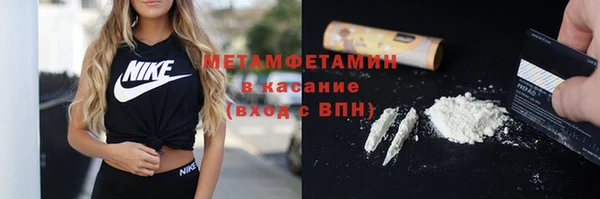 прущие грибы Болохово