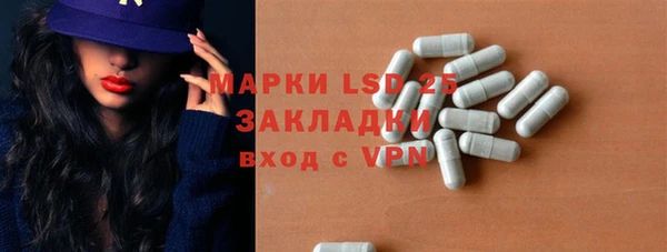 ПСИЛОЦИБИНОВЫЕ ГРИБЫ Арсеньев