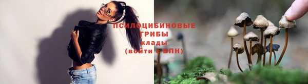 таблы Аркадак
