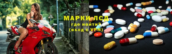 ПСИЛОЦИБИНОВЫЕ ГРИБЫ Арсеньев